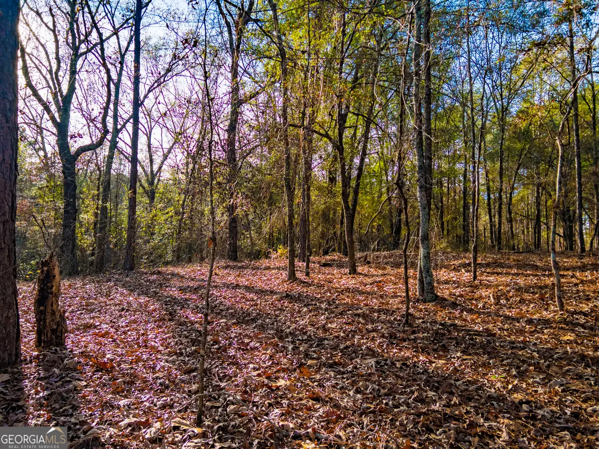 0 Roberta Highway, Butler, GA 31006 - #1