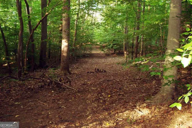 511 Fontaine Road Sw, Mableton, GA 30126 - #2