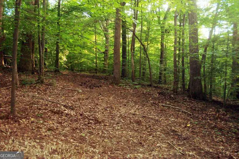 511 Fontaine Road Sw, Mableton, GA 30126 - #3