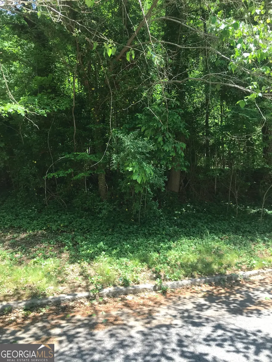 0 Wells Drive Sw, Atlanta, GA 30311 - #3