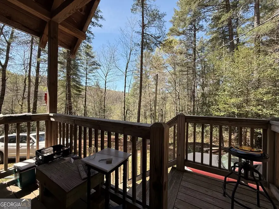 306 Jacks River Road, Epworth, GA 30541 - #3