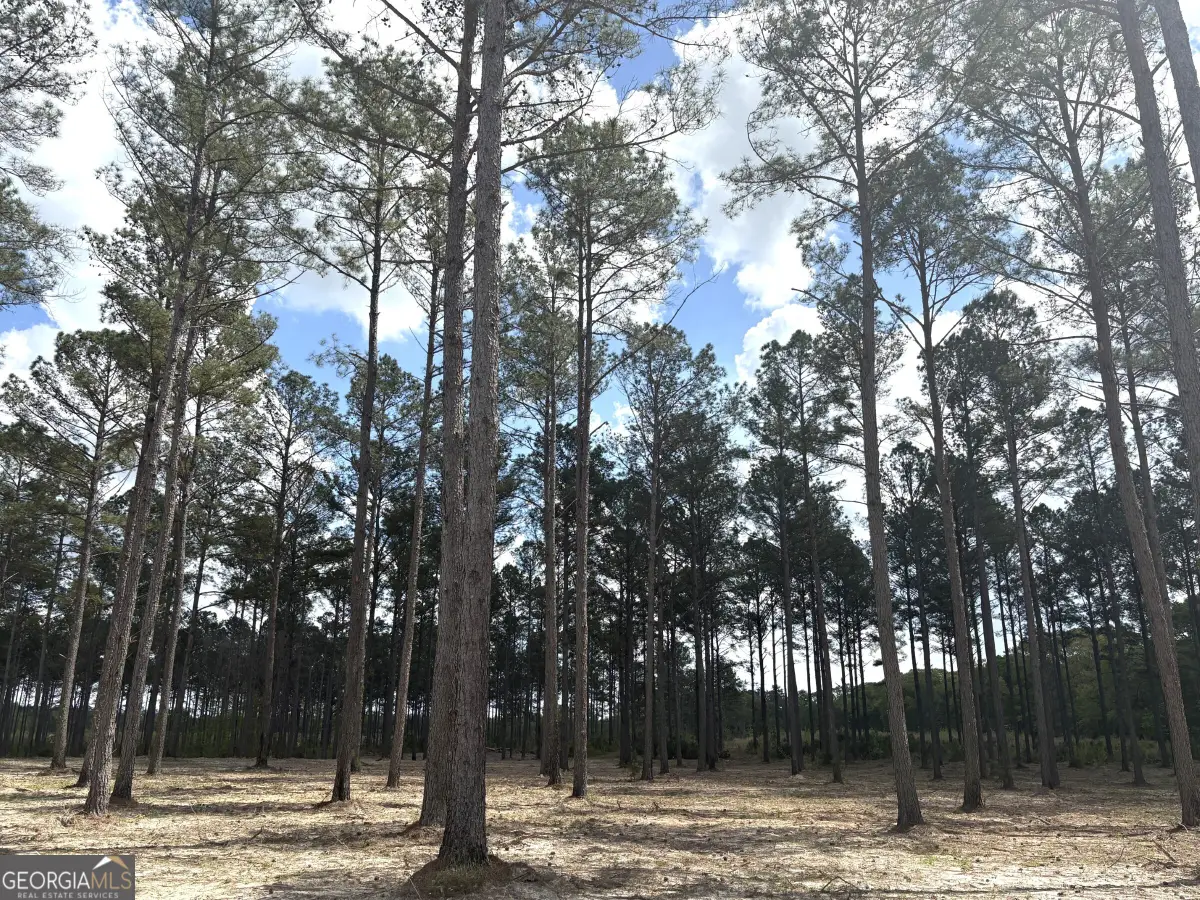 T1 Dc Hardie Road, Gordon, GA 31031 - #1