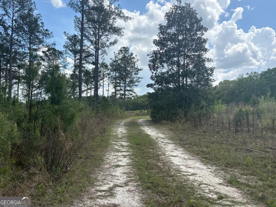 T1 Dc Hardie Road, Gordon, GA 31031 - #3