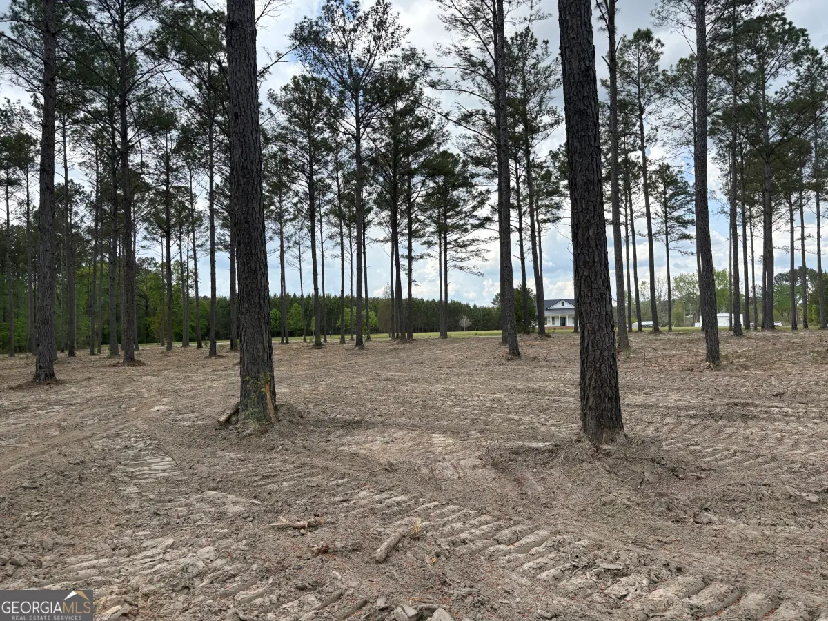 T2 Dc Hardie Road, Gordon, GA 31031 - #1