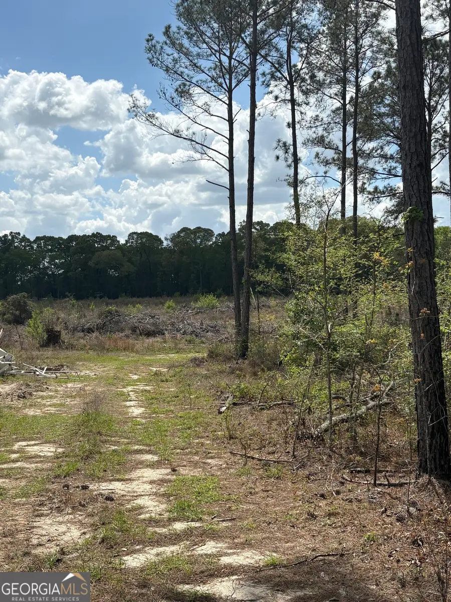 T2 Dc Hardie Road, Gordon, GA 31031 - #2
