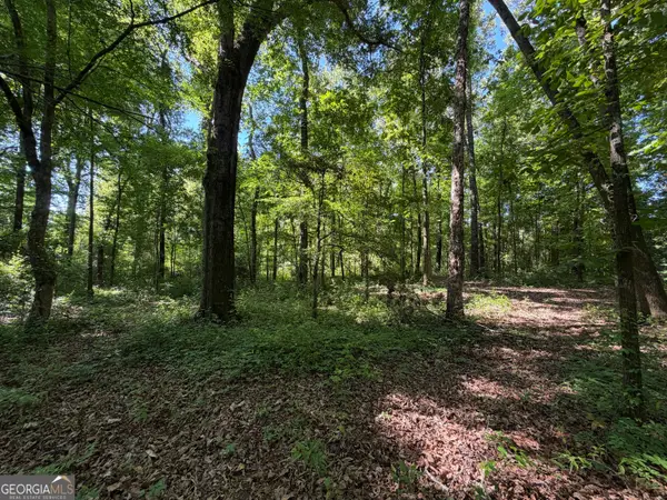 1.49 ACRES Ann Drive, Lizella, GA 31052