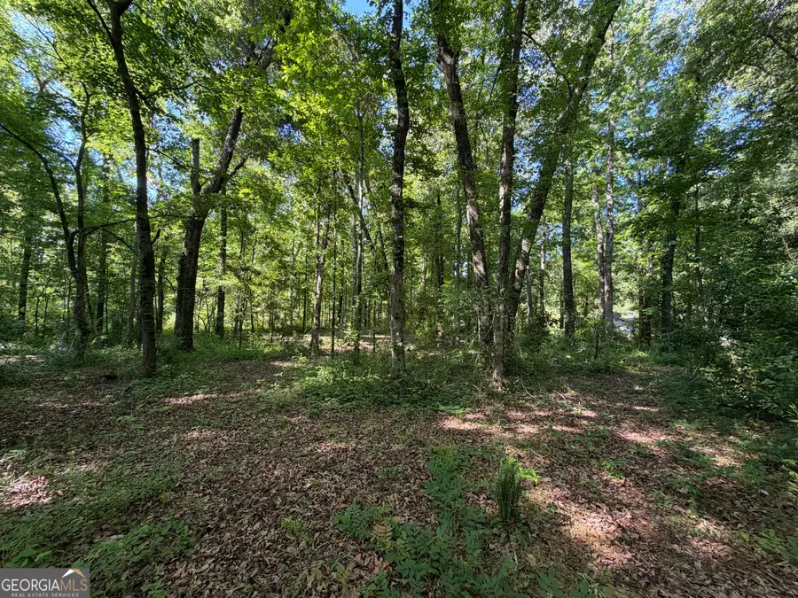 1.49 ACRES Ann Drive, Lizella, GA 31052 - #2