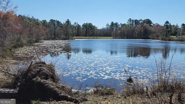 0 Marvin Church Road, Lyons, GA 30436