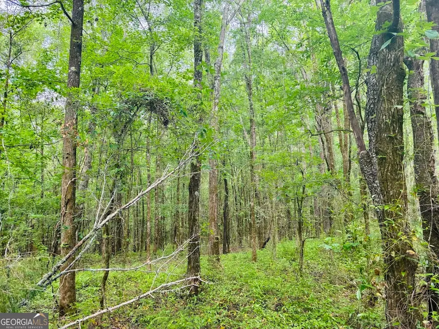 0 Wall Street #TRACT B, Tallassee, AL 36078 - #2