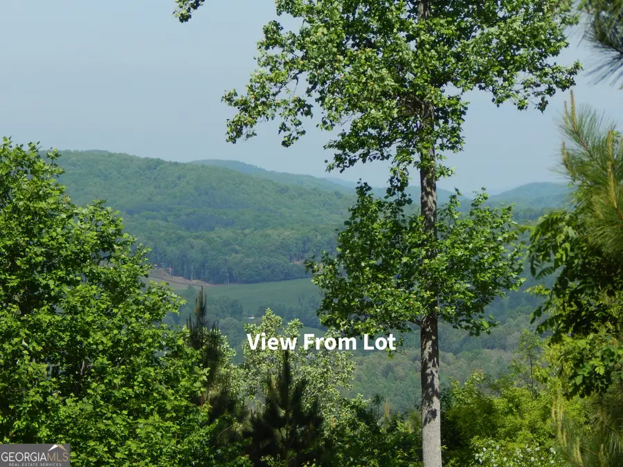 #361 The Cove At Thirteen Hundred, Young Harris, GA 30582 - #3