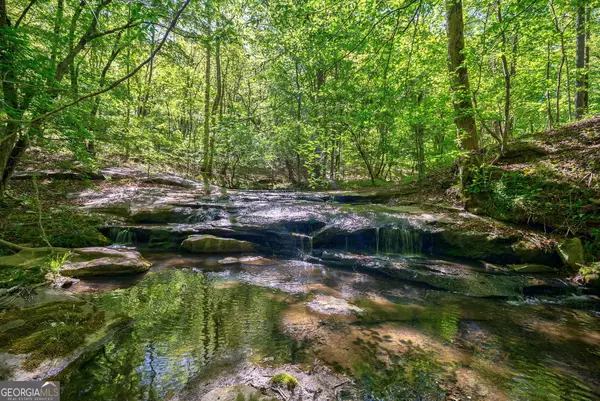 0 Brewer's Bridge Road, Elberton, GA 30635