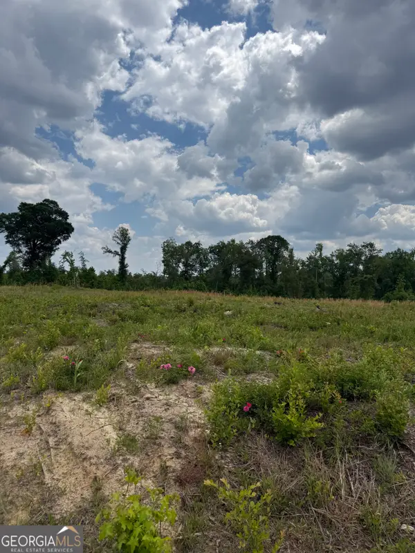 0 J D Williams Road, Cadwell, GA 31009