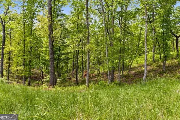 LOT 39 Jakes Landing Way, Ellijay, GA 30540