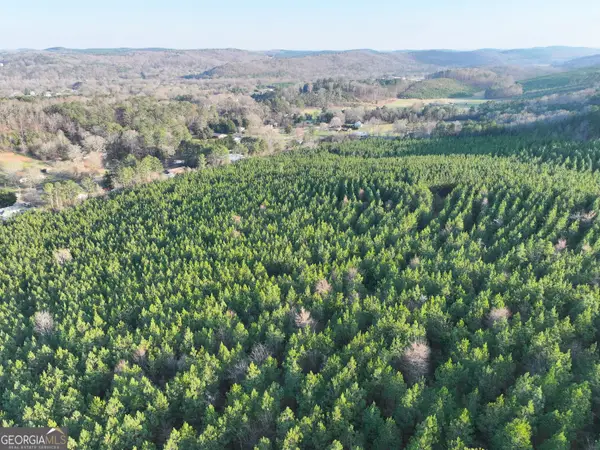 91 +/- Acres On Fosters Mill Rd. (ga Hwy 100), Cave Spring, GA 30124