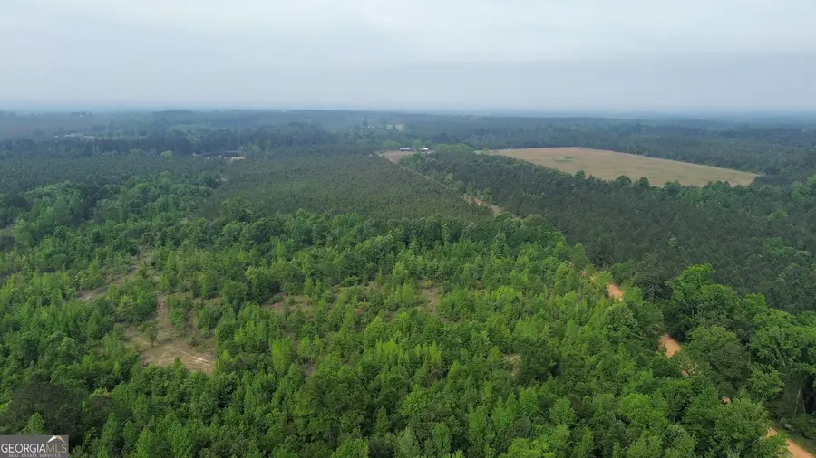 0 Oscar Beacham Road, Rockledge, GA 30454 - #3