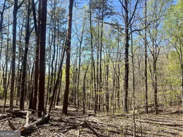 LOT 93 Doll Mountain Road, Ellijay, GA 30540