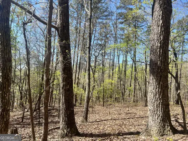 LOT 92 Doll Mountain Road, Ellijay, GA 30540