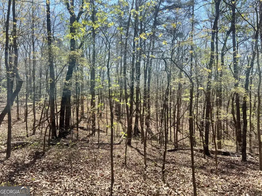 LOT 92 Doll Mountain Road, Ellijay, GA 30540 - #3