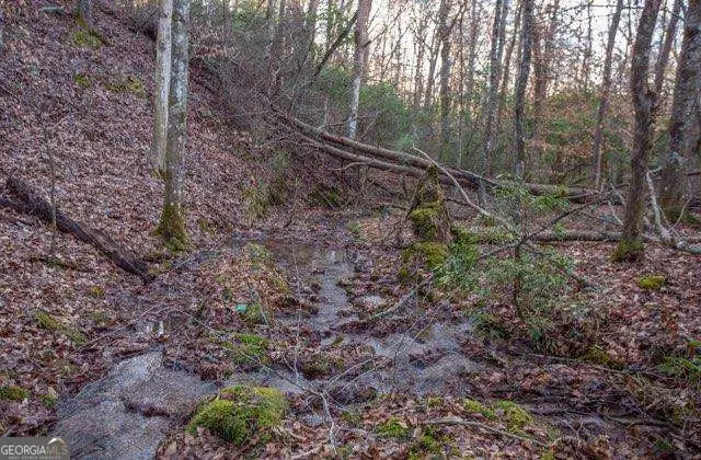 36.78 AC Old Hwy 76, Morganton, GA 30560 - #2