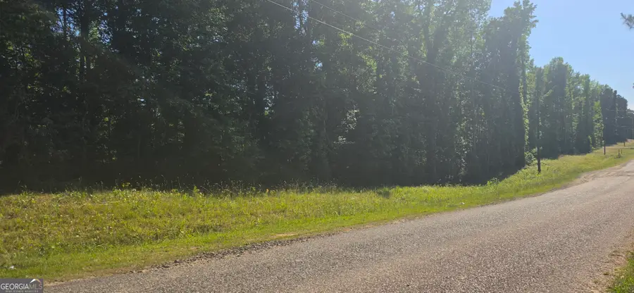 LOT 55 Groundhog Drive, Greenville, GA 30222 - #3