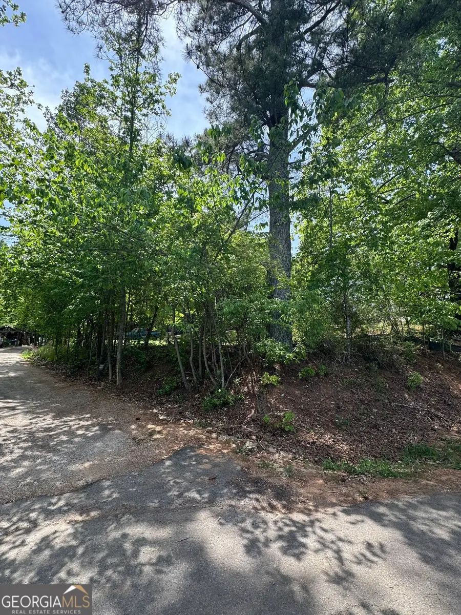 4652 Woodlane Drive, Oakwood, GA 30566 - #3