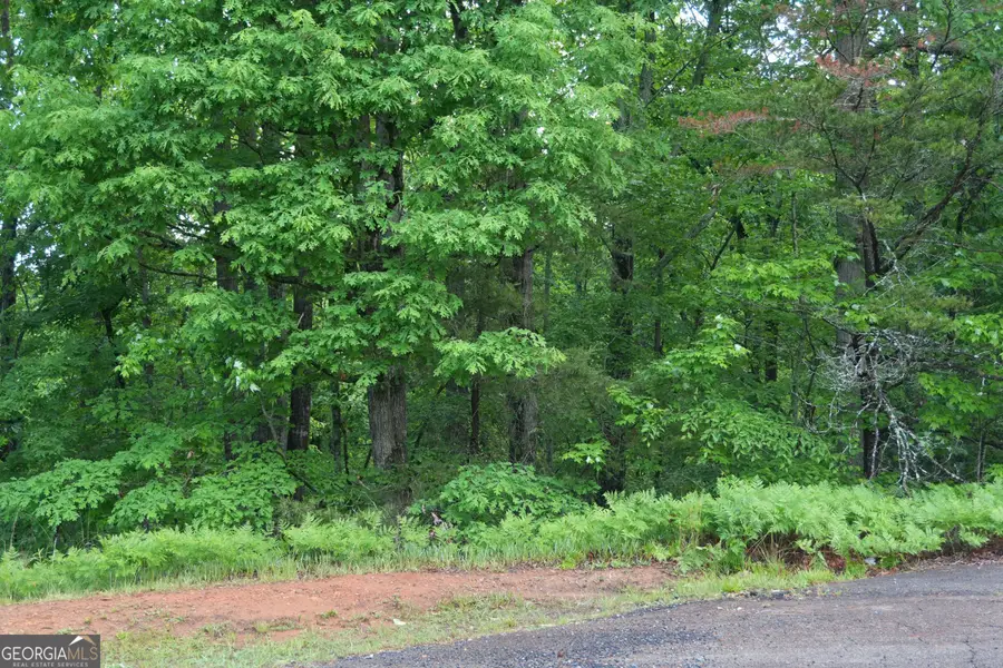 3712 Clubhouse Drive, Gainesville, GA 30501 - #3