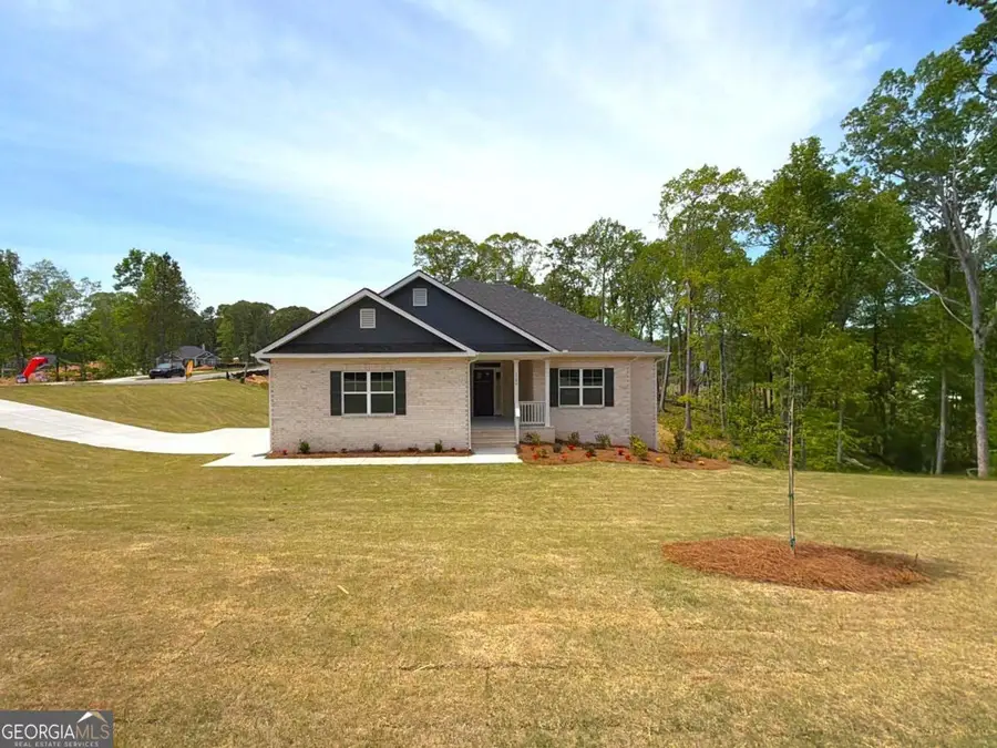 3380 Trevi Trail, Douglasville, GA 30135 - #2