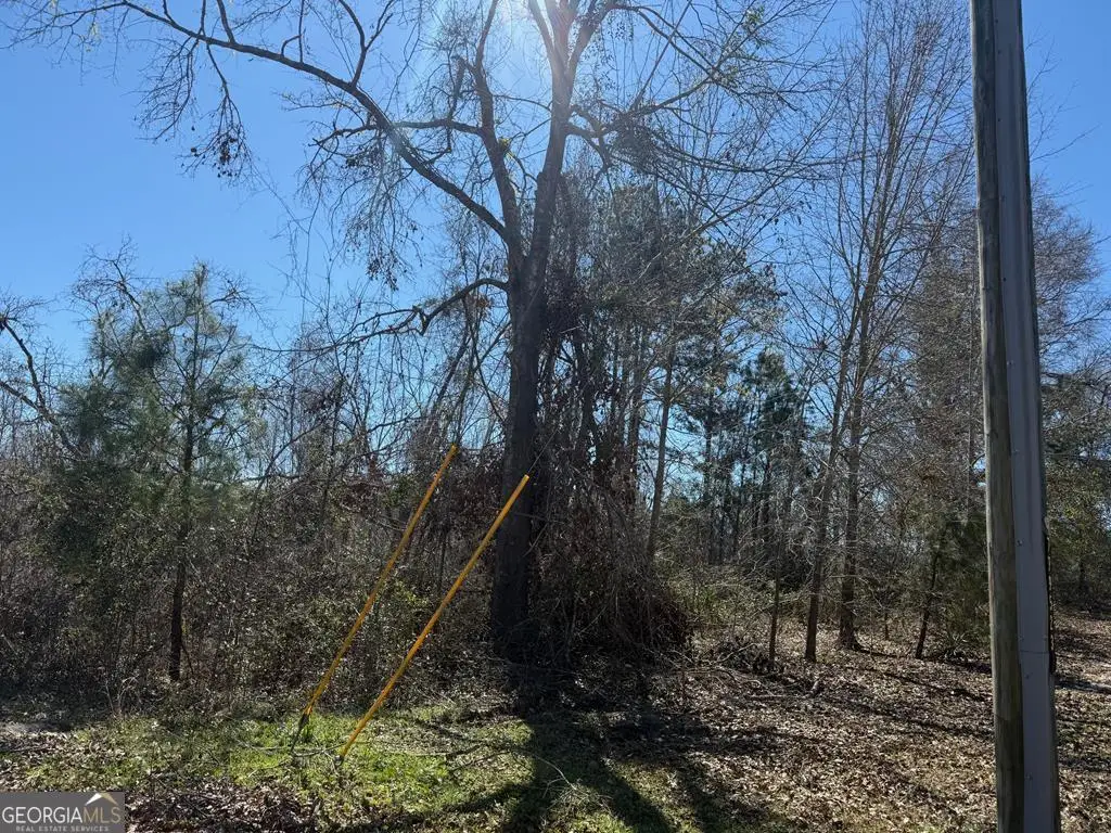 0 Wragler Trail (lot), Hazlehurst, GA 31539 - #1