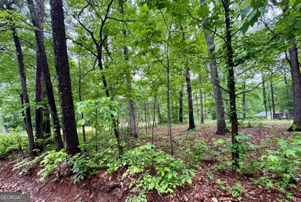 126 Mccready Drive, Dallas, GA 30157