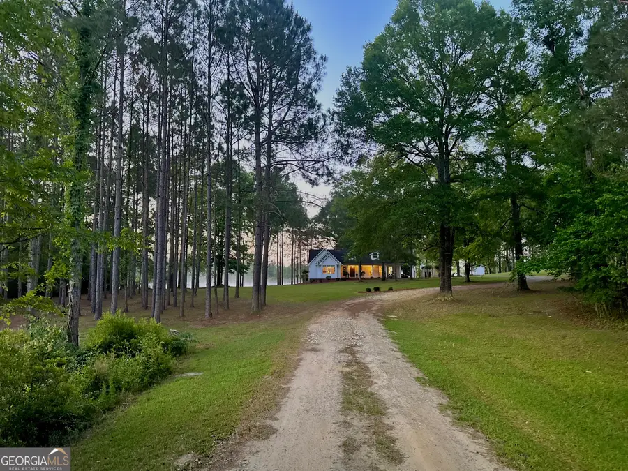 1525 Telfair Line Road, Rhine, GA 31077 - #3