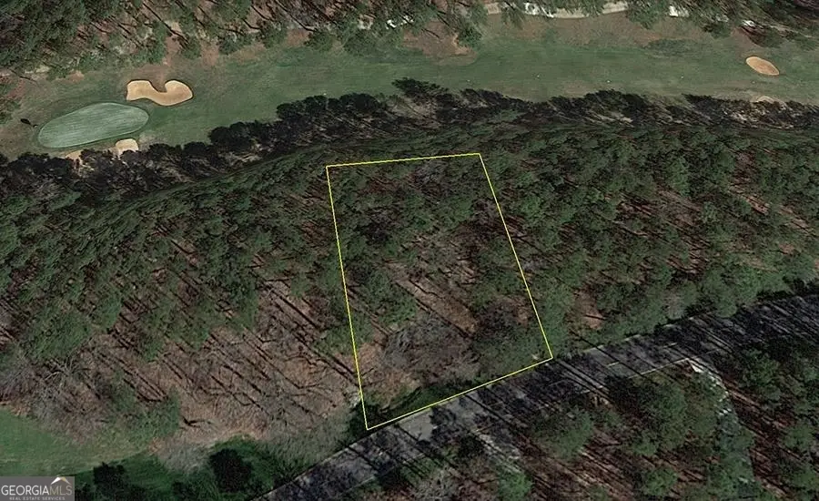 1580 Club Drive, Greensboro, GA 30642 - #3