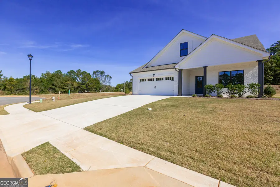 316 Hammerstone Court, Senoia, GA 30276 - #2
