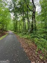 410 Dogwood Drive, Canton, GA 30114 - #3