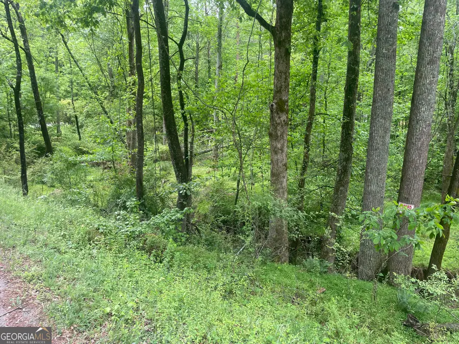 0 Luther Plamer, Cleveland, GA 30528 - #3