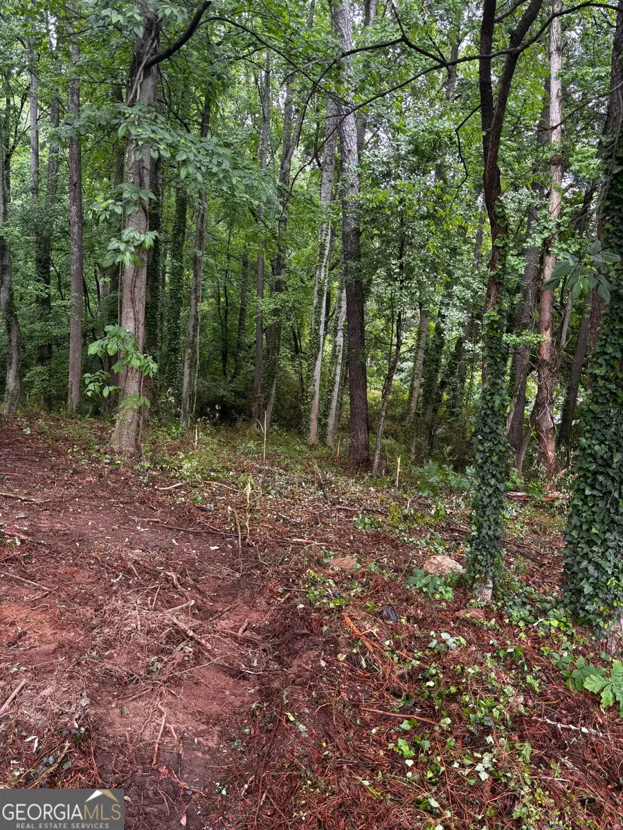 0 Ryman Ridge, Dalton, GA 30720 - #3