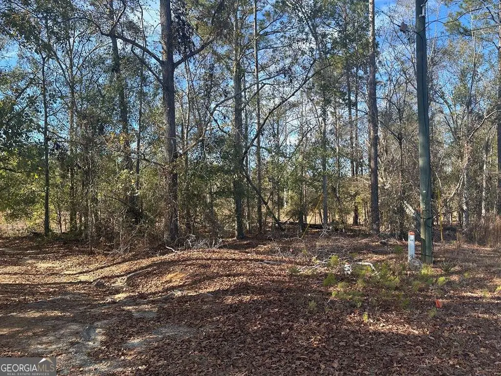 0 Tommie Drive, Vidalia, GA 30474 - #1