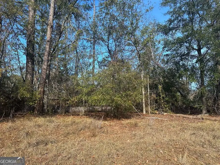 0 Tommie Drive, Vidalia, GA 30474 - #2