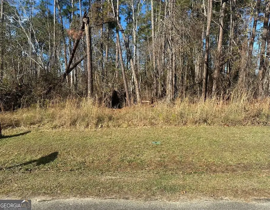 0 Tommie Drive, Vidalia, GA 30474 - #3