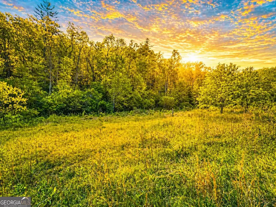 80 ACRES Valley Lake Road, Mineral Bluff, GA 30559 - #2