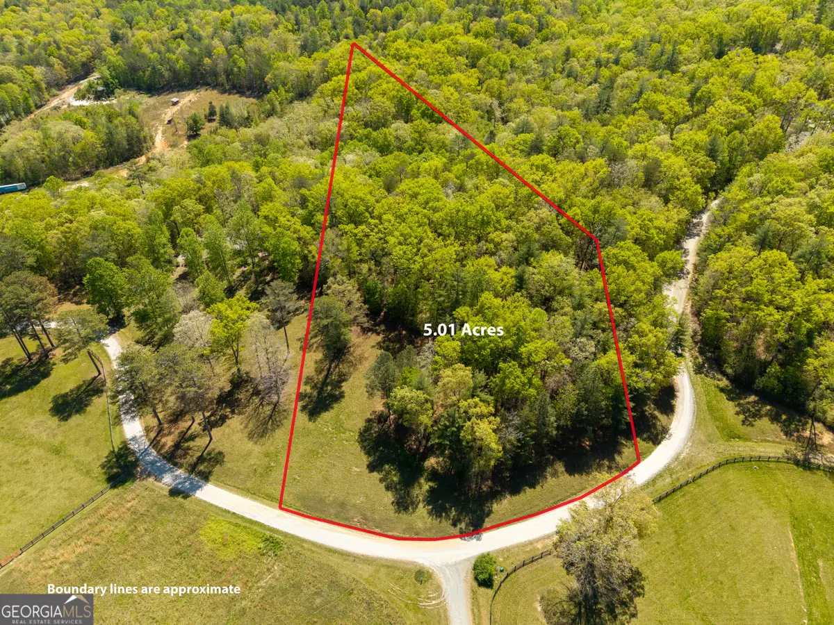 LOT 3 Spring Camp Road, Ellijay, GA 30536 - #1