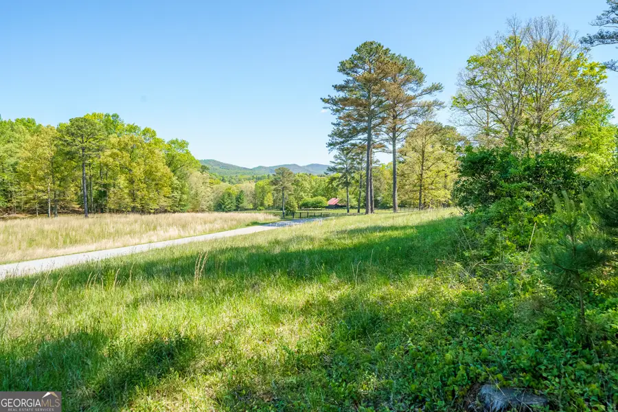 LOT 3 Spring Camp Road, Ellijay, GA 30536 - #3