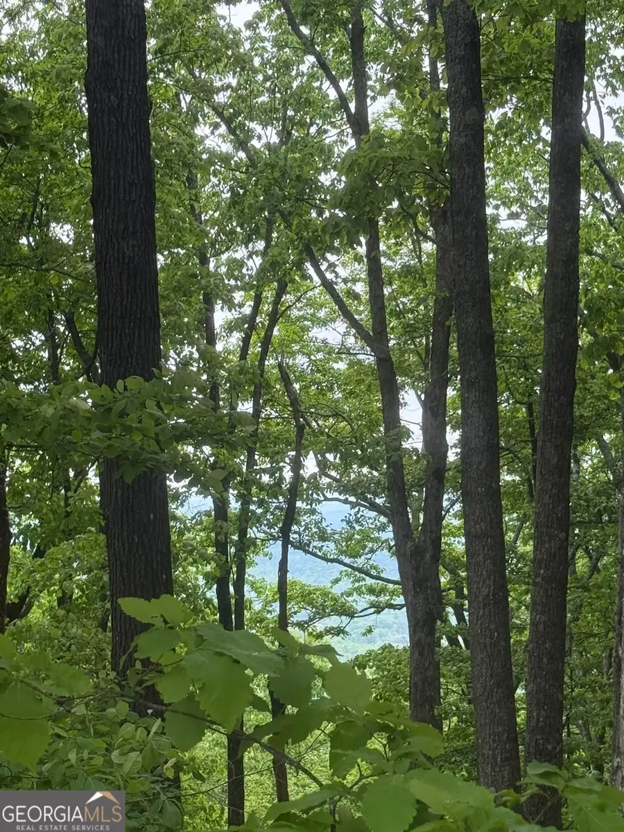 LOT 38 Mountainside Drive, Cleveland, GA 30528 - #3