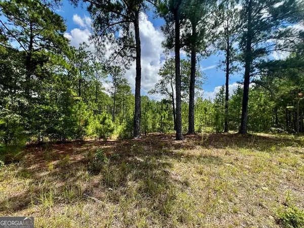 0 Dublin Eastman Road, Dexter, GA 31019