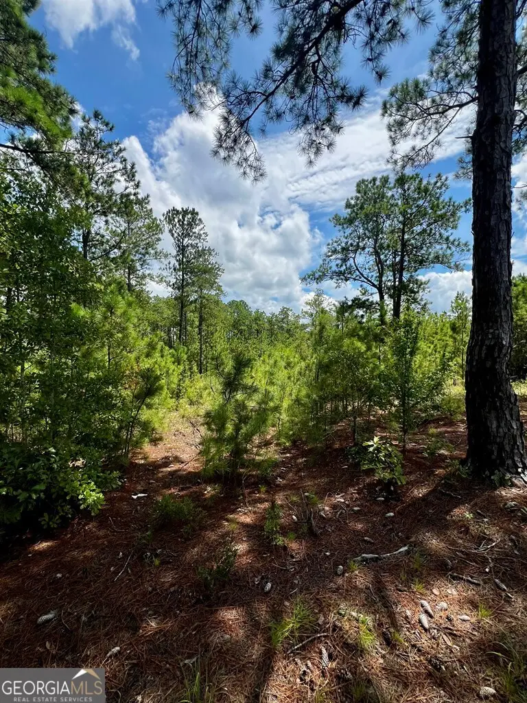 0 Dublin Eastman Road, Dexter, GA 31019 - #2