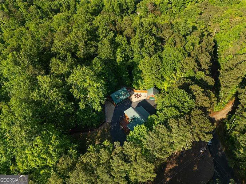 311 Woodland Brook Drive, Canton, GA 30115 - #2