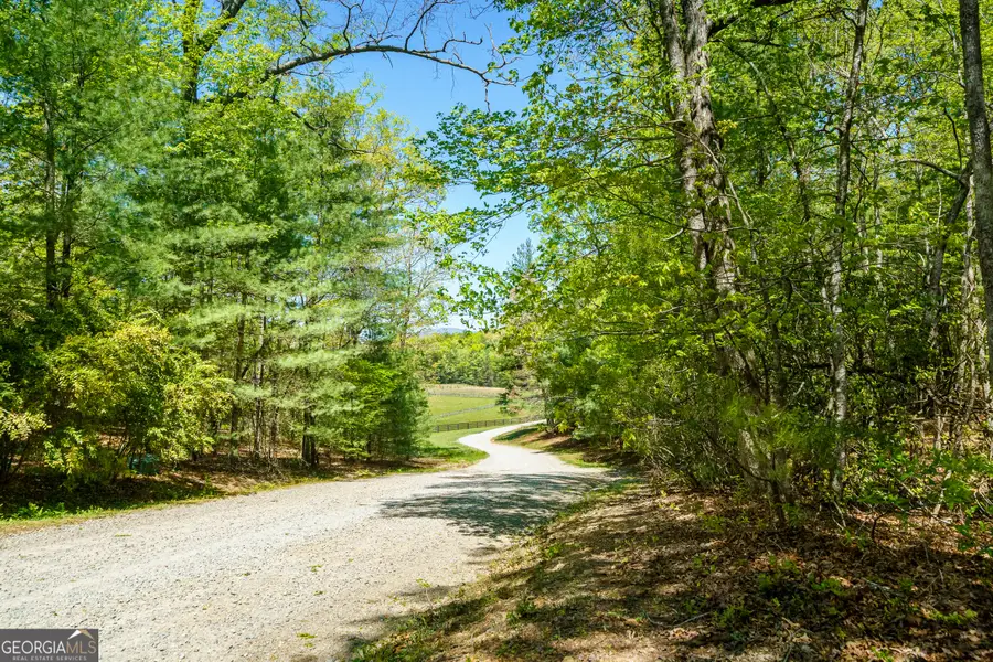 LOT 35 Spring Camp Road, Ellijay, GA 30536 - #2
