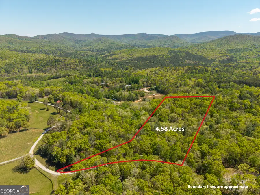 LOT 35 Spring Camp Road, Ellijay, GA 30536 - #3