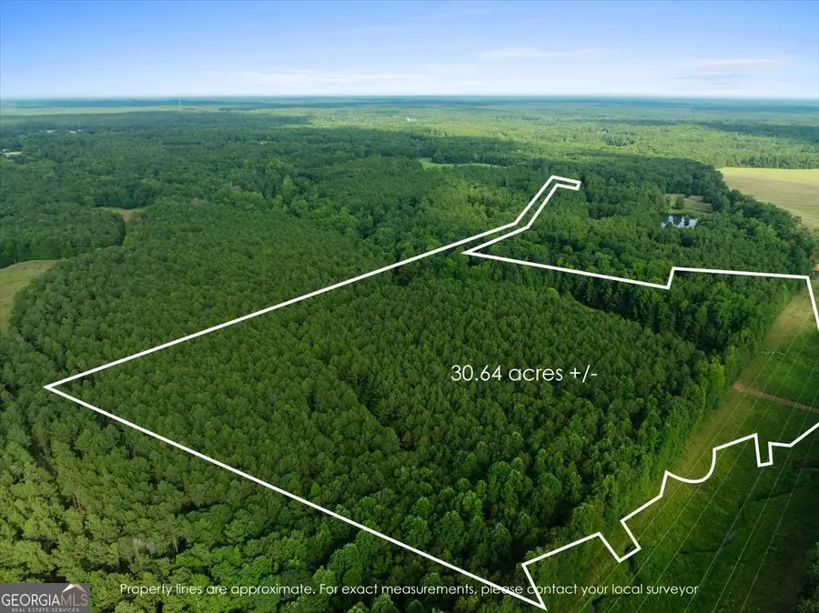 0 Dickson Road, Rutledge, GA 30663 - #2