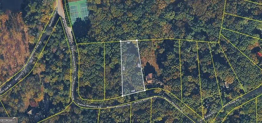 0 Walnut Mountain Road #TRACT A, Ellijay, GA 30536 - #3