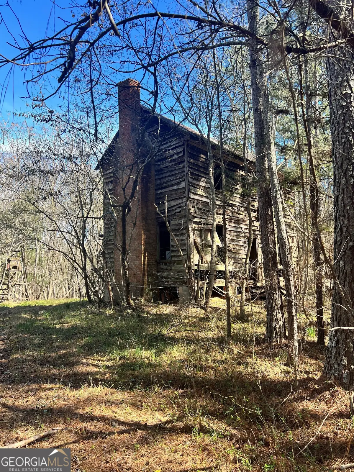0 Lyneville Road, Crawfordville, GA 30631 - #1